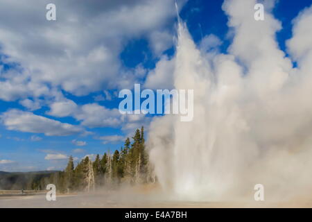 Einsamer Beobachter Uhren Grand Geysir ausbrechen, Upper Geyser Basin, UNESCO, Yellowstone-Nationalpark, Wyoming, USA Stockfoto