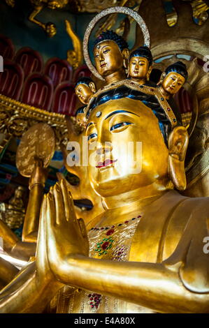 Goldenen Buddha im Guandu Tempel, Guandu, Taipei, Taiwan, Asien Stockfoto