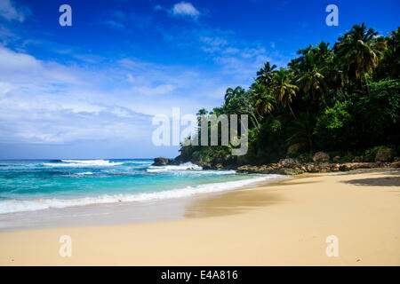 Playa Grande, Dominikanische Republik, Karibik, Karibik, Mittelamerika Stockfoto