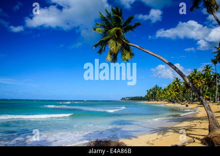 Casa Blanca Strand, Las Terrenas, Dominikanische Republik, Karibik, Karibik, Mittelamerika Stockfoto