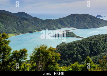 Blick über den Marlborough Sounds, Südinsel, Neuseeland, Pazifik Stockfoto