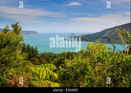 Blick über den Marlborough Sounds, Südinsel, Neuseeland, Pazifik Stockfoto