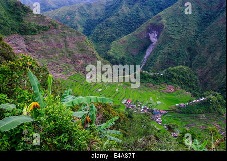 Batad Reisterrassen, Teil des UNESCO World Heritage Site von Banaue, Luzon, Philippinen, Südostasien, Asien Stockfoto