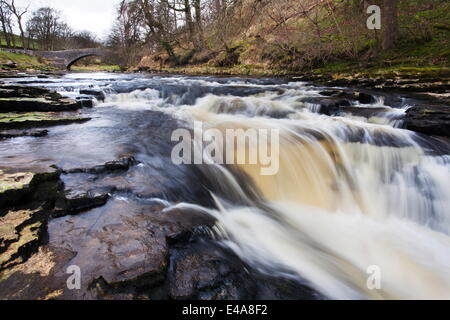 StainforthBridge und Stainforth Kraft am Fluss Ribble, Yorkshire Dales, Yorkshire, England, Vereinigtes Königreich, Europa Stockfoto