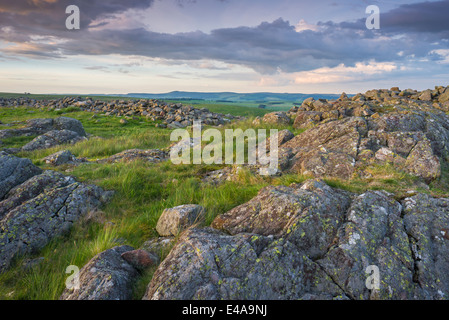 Die Aussicht vom Brough Law, blickte der Ingram-Tal in der Northumberland National Park, England Stockfoto