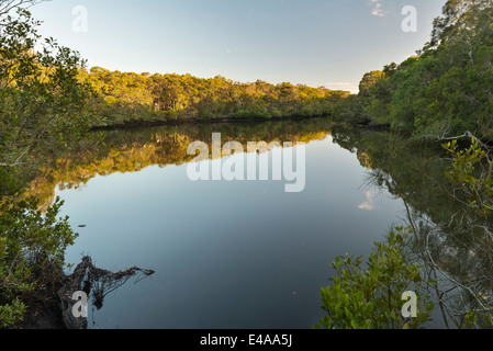 Australien, New South Wales, Pottsville, Cudgera Creek Stockfoto