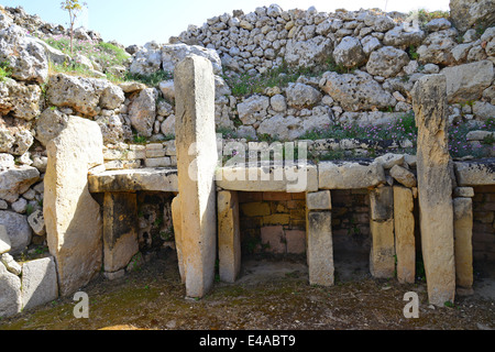Tempel des Ġgantija, Ix Xagħra, Gozo (Ghawdex), Gozo und Comino Bezirk, Gozo Region, Republik Malta Stockfoto