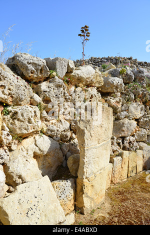 Tempel des Ġgantija, Ix Xagħra, Gozo (Ghawdex), Gozo und Comino Bezirk, Gozo Region, Republik Malta Stockfoto