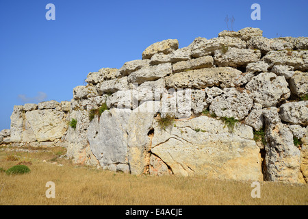 Tempel des Ġgantija, Ix Xagħra, Gozo (Ghawdex), Gozo und Comino Bezirk, Gozo Region, Republik Malta Stockfoto