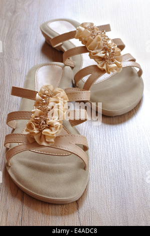 Turnschuhe Hausschuhe Beige Sommer Frauen niedrig schön lässig Closeup Hintergrundfarbe bunte bunten ausgeschnittenen Ausschnitt Eleganz el Stockfoto