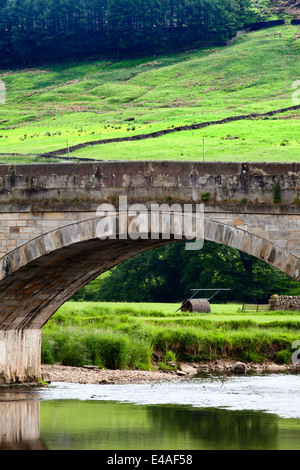 Burnsall Brücke über den Fluß Wharfe Yorkshire Dales England Stockfoto