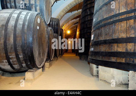 der berühmte Wein Keller "Florio" in der Stadt Marsala Stockfoto