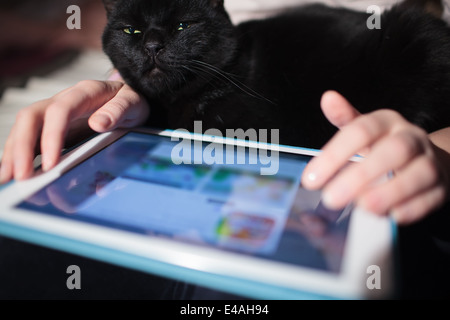 Frau mit Katze auf dem Schoß pad Stockfoto