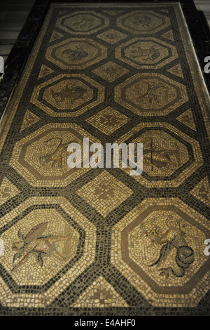 Römische Bodenmosaik. Farbige Stein und Mörtel. 2. Jahrhundert n. Chr. Von Cos (Istankoy). Archäologisches Museum. Istanbul. Turkei. Stockfoto