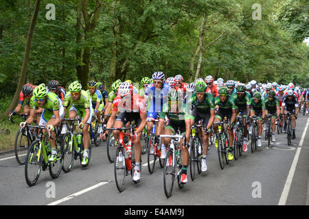 Epping, UK. 7. Juli 2014. Tour de France 2014 von Cambridge nach London. Die Teilnehmer treten in Epping, Essex auf ihrem Weg nach London. 7. Juli 2014. Bildnachweis: Doniphane Dupriez/Alamy Live-Nachrichten Stockfoto