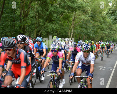 Epping, UK. 7. Juli 2014. Tour de France 2014 von Cambridge nach London. Die Teilnehmer treten in Epping, Essex auf ihrem Weg nach London. 7. Juli 2014. Bildnachweis: Doniphane Dupriez/Alamy Live-Nachrichten Stockfoto