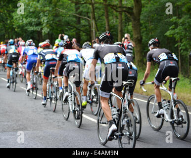 Epping, UK. 7. Juli 2014. Tour de France 2014 von Cambridge nach London. Die Teilnehmer treten in Epping, Essex auf ihrem Weg nach London. 7. Juli 2014. Bildnachweis: Doniphane Dupriez/Alamy Live-Nachrichten Stockfoto