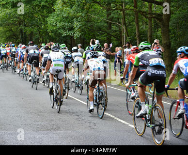 Epping, UK. 7. Juli 2014. Tour de France 2014 von Cambridge nach London. Die Teilnehmer treten in Epping, Essex auf ihrem Weg nach London. 7. Juli 2014. Bildnachweis: Doniphane Dupriez/Alamy Live-Nachrichten Stockfoto