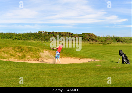 Golfer, die im Sandfang von Newport Links Golf Club & Resort, Pembrokeshire, Wales, UK Stockfoto