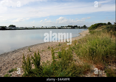 Pagham Hafen und Lagune Naturschutzgebiet in der Nähe von Chichester West Sussex UK Stockfoto