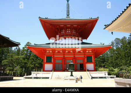 Dai Garan Komplex Koyasan Koya Japan Stockfoto