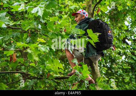 London, UK. 7. Juli 2014. Ein Zuschauer findet einen Aussichtspunkt, am Ende der dritten Stufe der Tour de France entlang der Mall im Zentrum von London zu sehen. Stockfoto