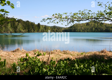 Akan-Nationalpark 阿寒国立公園 See Onnetoh oder Onneto Stockfoto