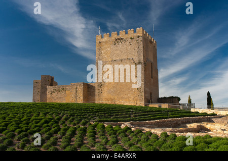 Alcazaba, La Mota Festung, Alcalá la Real, Jaen-Provinz, Region von Andalusien, Spanien, Europa Stockfoto