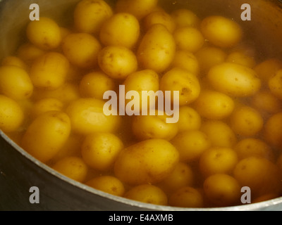 Kartoffeln in einen Topf mit Wasser kochen Stockfoto