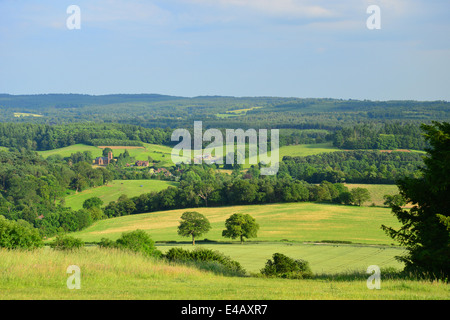 Newlands Ecke natürliche Schönheitsstelle in Albury Downs, North Downs, in der Nähe von Guildford, Surrey, England, Vereinigtes Königreich Stockfoto