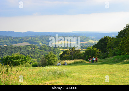 Newlands Ecke natürliche Schönheitsstelle in Albury Downs, North Downs, in der Nähe von Guildford, Surrey, England, Vereinigtes Königreich Stockfoto