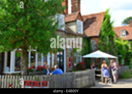 Gelber Mohn im Garten, Surrey, England, Vereinigtes Königreich Stockfoto