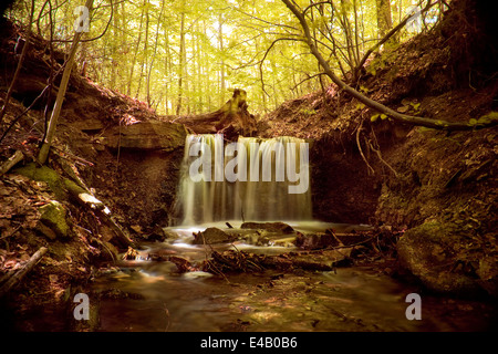 kleiner Bach bemoosten Felsen, kleinen Wasserfall im Umlauf Stockfoto