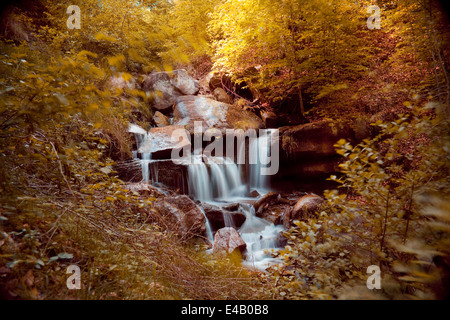 kleiner Bach bemoosten Felsen, kleinen Wasserfall im Umlauf Stockfoto