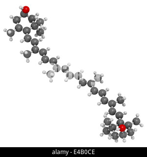 Zeaxanthin Gelbpigment Molekül. Verantwortlich für die Farbe der Paprika, Mais, Safran. Stockfoto