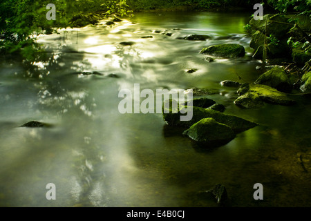 kleiner Bach bemoosten Felsen, kleinen Wasserfall im Umlauf Stockfoto