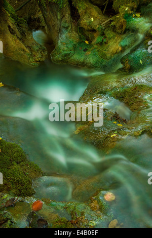 kleiner Bach bemoosten Felsen, kleinen Wasserfall im Umlauf Stockfoto