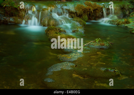 kleiner Bach bemoosten Felsen, kleinen Wasserfall im Umlauf Stockfoto