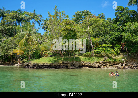 Zwei Leute Schnorcheln im Meer und tropische Küste mit üppiger Vegetation, Bocas del Toro, Panama, Karibik suchen Stockfoto