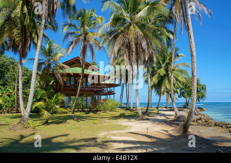 Tropischen Strandhaus mit Kokosnuss-Palmen auf einer Insel in der Karibik Stockfoto