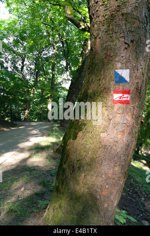 Trail loderte in Polen Stockfoto