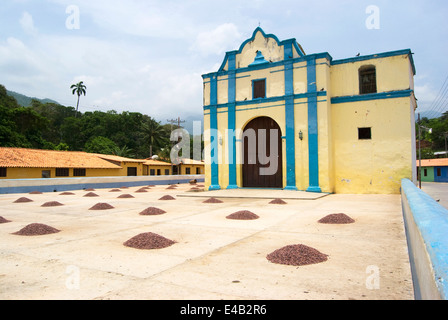 Kakaobohnen trocknen in der Sonne am Chuao Stadt, hinter der Dorfkirche. Venezuela Stockfoto