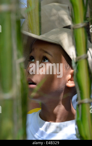 Die Palmeros de Chacao ist typische Veranstaltung der Karwoche Chacao, Caracas. Stockfoto