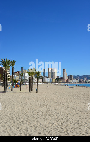 Playa de Poniente, Benidorm, Costa Blanca, Provinz Alicante, Königreich von Spanien Stockfoto