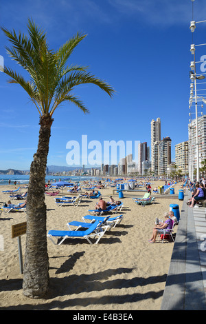 Strandpromenade Esplanade, Playa de Levante, Benidorm, Costa Blanca, Provinz Alicante, Königreich Spanien Stockfoto