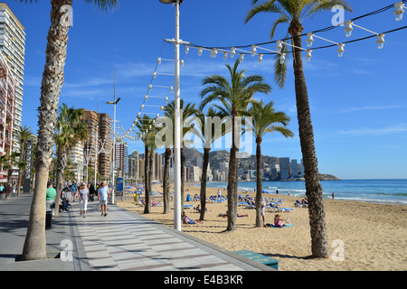 Strandpromenade Esplanade, Playa de Levante, Benidorm, Costa Blanca, Provinz Alicante, Königreich Spanien Stockfoto