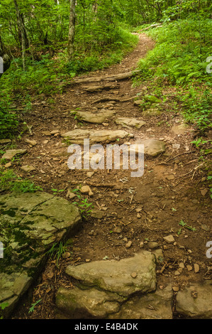 Der Appalachian Trail bei Neels Gap in den Bergen von Nordgeorgien bei Blairsville. (USA) Stockfoto