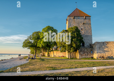 Stadtmauer von Visby auf Gotland in Schweden Stockfoto