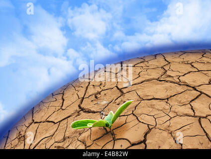 Werk in gebrochene Schlamm getrocknet Stockfoto