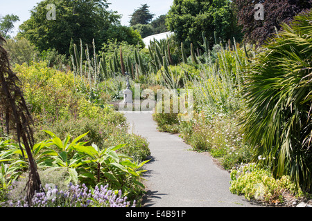 Gesamtansicht der Ventnor Botanic Garden in Ventnor, Isle Of Wight, England an einem sonnigen Sommertag. Stockfoto